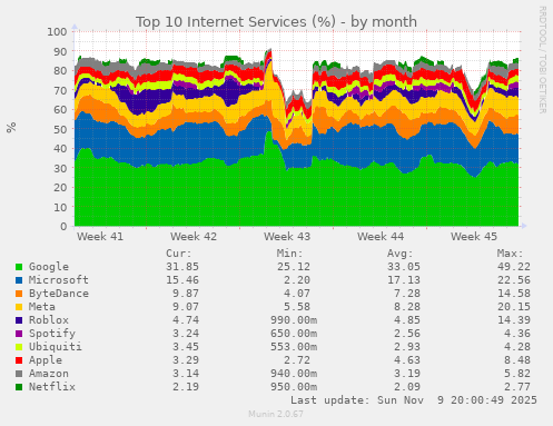 Top 10 Internet Services (%)